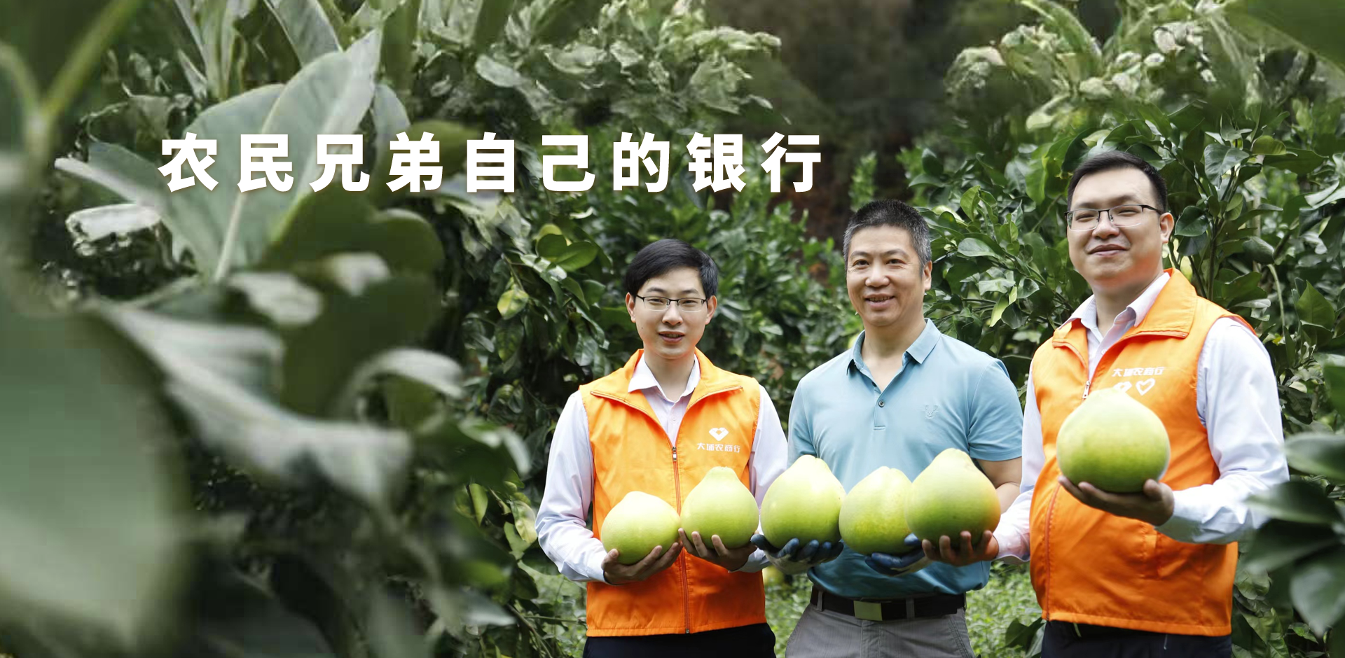 广告图
